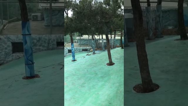 2 июня 2021 г. смотреть онлайн
