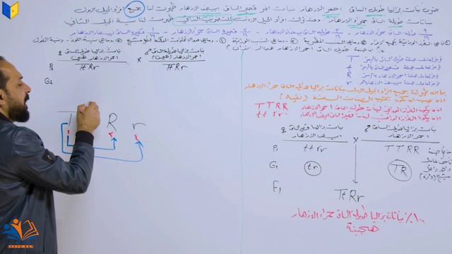الفصل الخامس المحاضرة : 12  (قانون مندل الثاني )
