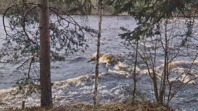 Бурная и порожистая река Шуя смотреть онлайн