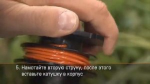 Архипарк - советы для сада и огорода. Заправка лески в косильную головку AutoCut  25-2 мотокоси