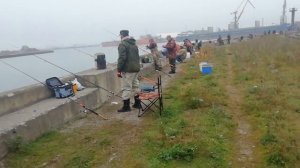 Ловля пеленгаса в Темрюке