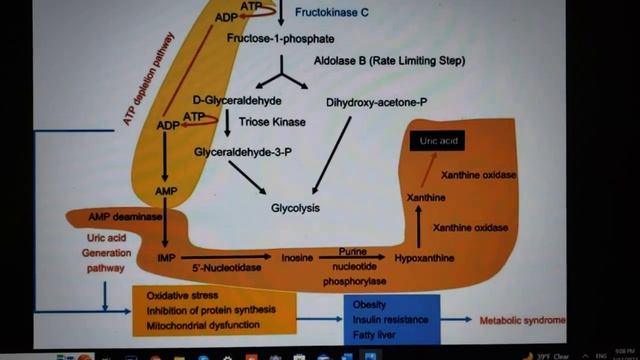 ФРУКТОЗА! ЧТО ЗА НЕЙ КРОЕТСЯ? смотреть онлайн