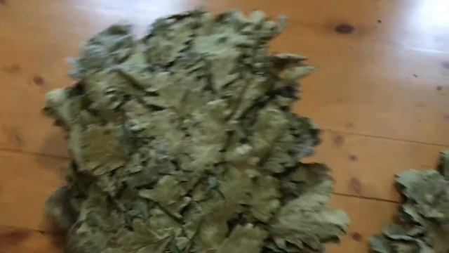 Обзор Кавказского дубового веника из поросли смотреть онлайн