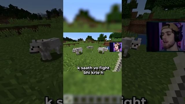 keep your pet wolf safe in minecraft #games #minecraft #minecraftfacts смотреть онлайн