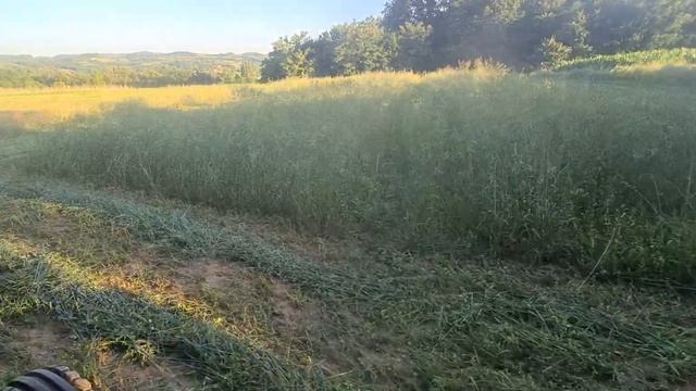 Imt 539 I Sip Brk 135 - Košenje Mešavine Trava 2022