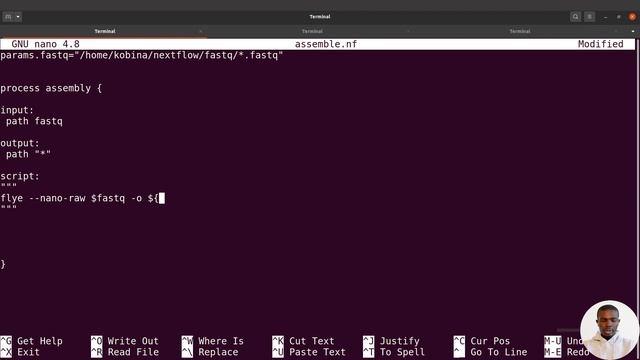 Nextflow Tutorial for Bioinformatics - Genome Assembly of Oxford Nanopore Long Reads with Flye смотреть онлайн