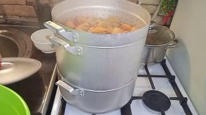 СОК ЯБЛОЧНЫЙ в соковарке.