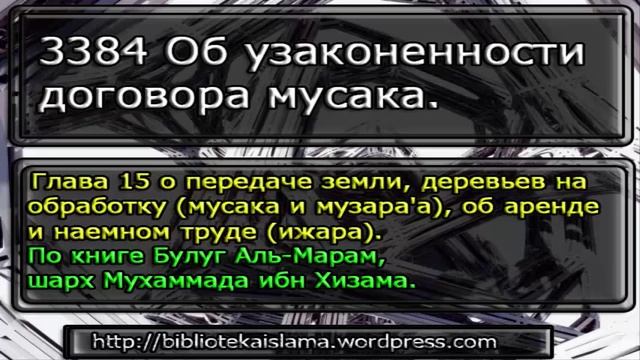 3384 Об узаконенности договора мусака смотреть онлайн