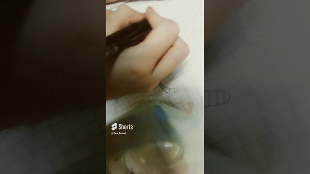 Рисую котика