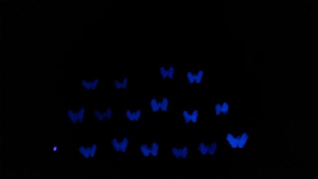 Luz Negra Família CDZ 2017 смотреть онлайн