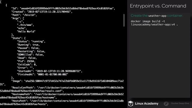 07 8 Entrypoint vs Command смотреть онлайн