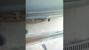 ВАЗ 2115 скрип в задней части