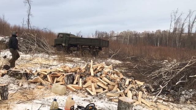 Шишига смотреть онлайн