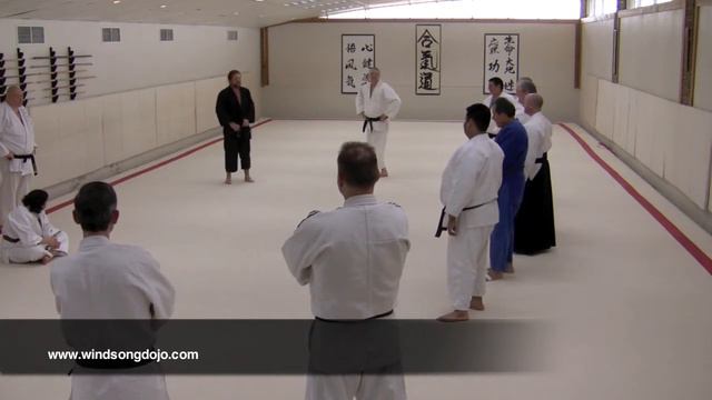 Kangeiko Day 2 Aikido-Ushiro ate Analysis 4.mov смотреть онлайн