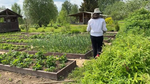 Женские будни//Как все успеть?//Надоело, ломаю огород смотреть онлайн
