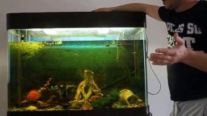 Свет в аквариуме (для начинающих)