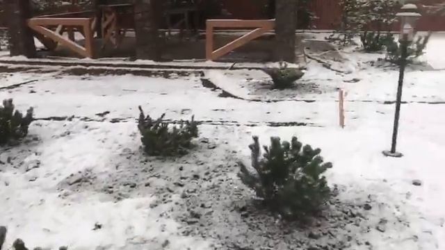 kedr76.ru Портфолио Новоглаголево 2017 октябрь смотреть онлайн