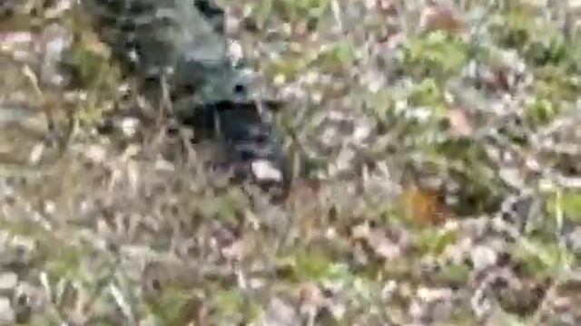 MVI 1710 PC смотреть онлайн