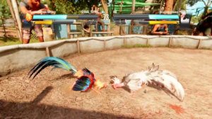 Бои Петухов