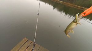 Лучший воблер на щуку. Часть 3. Pontoon 21 Kalikana Dun. Щука летом в жару.