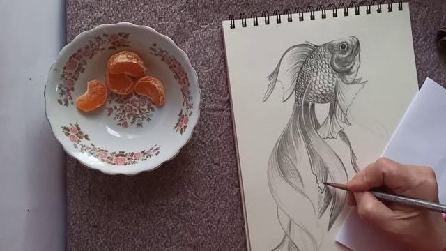 Золотая рыбка. Графика , карандаш,скетчбук. смотреть онлайн