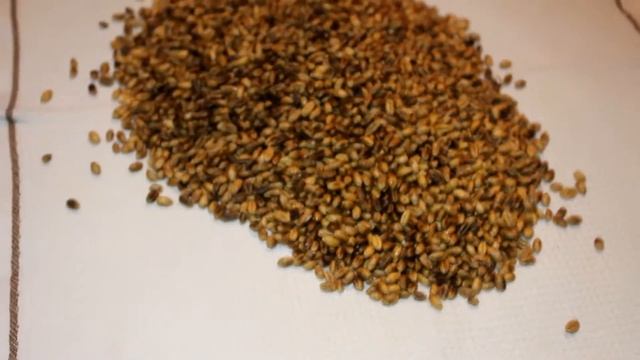 Эзотерическая справка