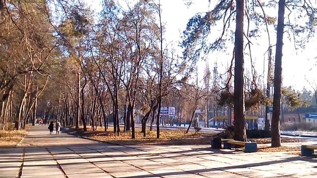 Парк в лесу. Сосновый лес. Футаж лес. смотреть онлайн