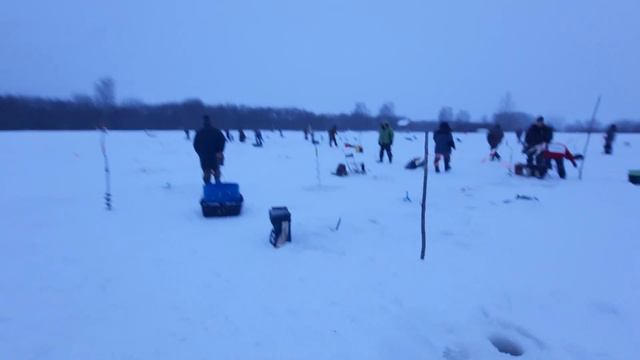 УТРЕННИЕ ЗАРЫБЛЕНИЕ 1-ГА РК"ФИШКА"ПЕТРЯИХА смотреть онлайн