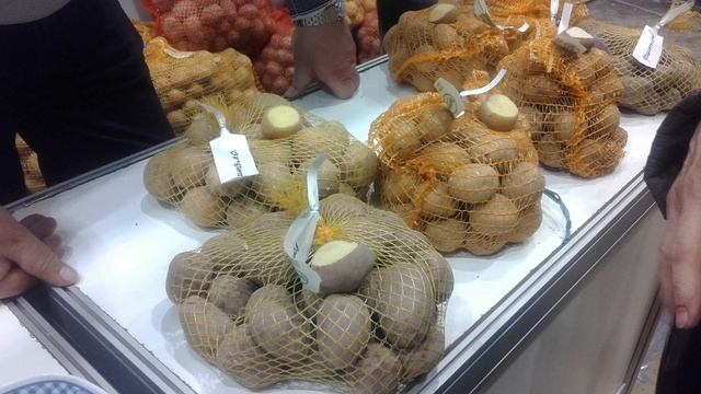 ВЫСТАВКА-ПРОДАЖА "ДАЧА, САД, ЛАНДШАФТ" НА ВДНХ ЗАКРЫВАЕТСЯ! ПОСЛЕДНЕЕ ВИДЕО О НЕЙ... смотреть онлайн