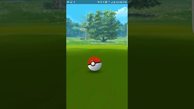 How To Properly Throw Pokeballs in Pokemon GO! GUARANTEED GREAT THROW EVERY TIME! Set Circle Method смотреть онлайн