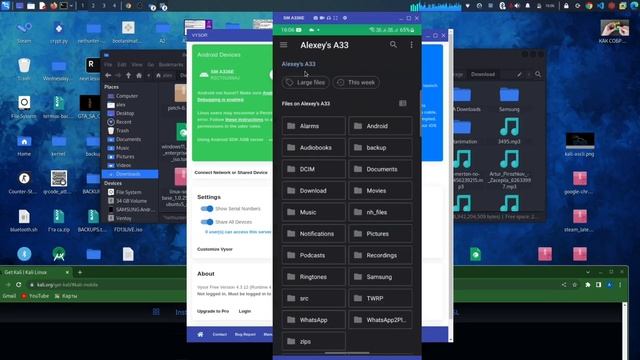 kali linux на смартфон! Установка kali net hunter. 2 простых способа(twrp и magisk) смотреть онлайн