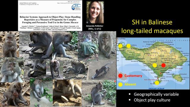 Studying Behavioral By-Products in Primatology - Dr. Jean-Baptiste Leca смотреть онлайн
