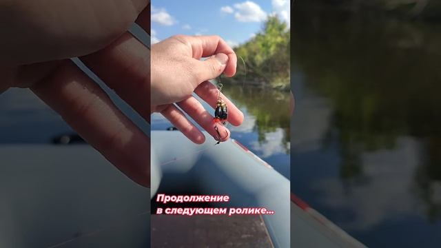 ? Блесна-вертушка AQUA ESTI BULLET. Начало рыбалки. #рыбалка #fishing #спиннинг #блесна ? смотреть онлайн