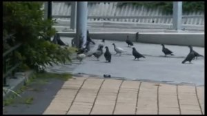 Машина на радиоуправлении Silverlit 3D Twister: MEGA STORM