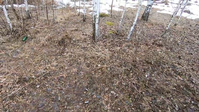 A1 VECTAN NOBEL SPORT и 28г. Тест на начальную скорость. смотреть онлайн