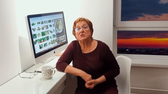 17 болезней которые вылечит обычная лаврушка смотреть онлайн