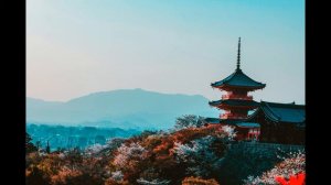 Relaxing Japanese Zen Music: 1 Hour of Music for Spa, Sleep and Relaxation.