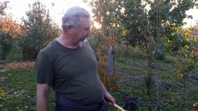 Влагозарядный полив сада на зиму смотреть онлайн