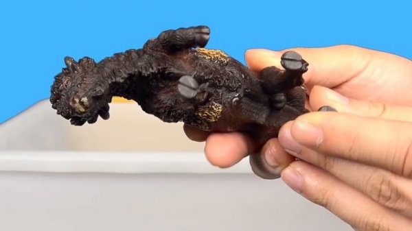 [EN] Let Animals go home 3!! animals names and sound for kids, animation, collectaㅣCoCosToy