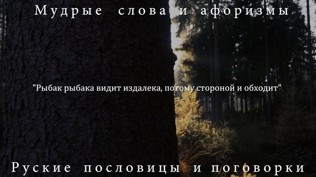 Гениальные Русские пословицы, которые знает Каждый. Мудрость русского народа. смотреть онлайн