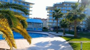 Сочи Парк Отель зимой декабрь