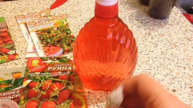 Посев мелкоплодной земляники 4 сортов смотреть онлайн