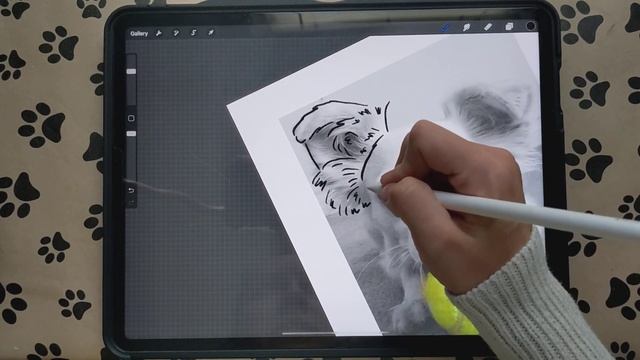 How to Make a DIGITAL PET Portrait in Procreate | Beginner Tutorial| Drawing Fluffy Ears | Ep. No. смотреть онлайн