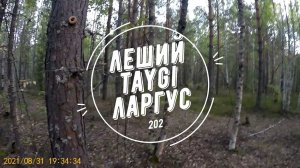 Ларгус дёргался на 2 и 3 передачах при наборе скорости.