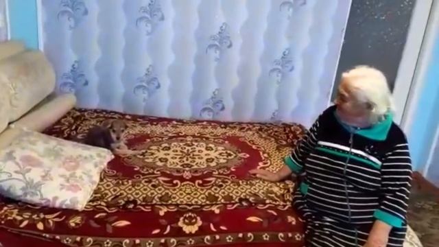 КАК ЖИВЁТ СПАСЁННАЯ БУСИНКА. смотреть онлайн