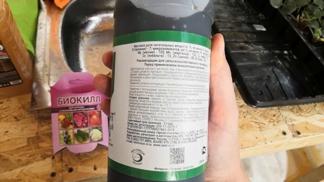 Борьба с трипсом и земляничным клещом. Серия 2. Обработка биокиллом, тиовит джетом, силиплантом. смотреть онлайн