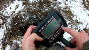 Металлоискатель Терминатор Про тест