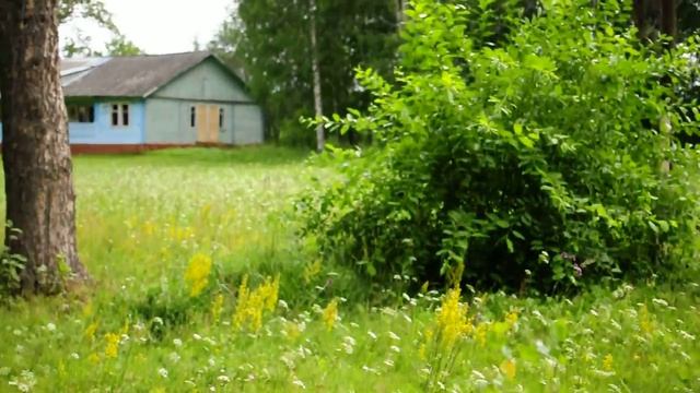 мама на качелях (Сибирянка, 27.07.14) смотреть онлайн