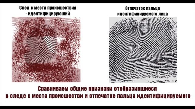 Экспресс- консультация. По выполнению дактилоскопической экспертизы смотреть онлайн