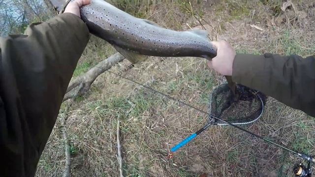 Кумжа и как ее ловить в реке. смотреть онлайн